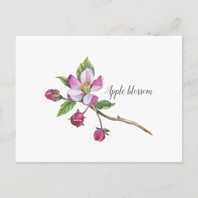 Postal Watercolor Apple Blossom Botanico (Anverso)