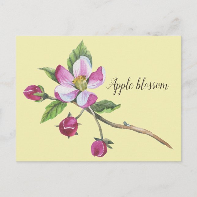 Postal Watercolor Apple Blossom Botanico (Anverso)