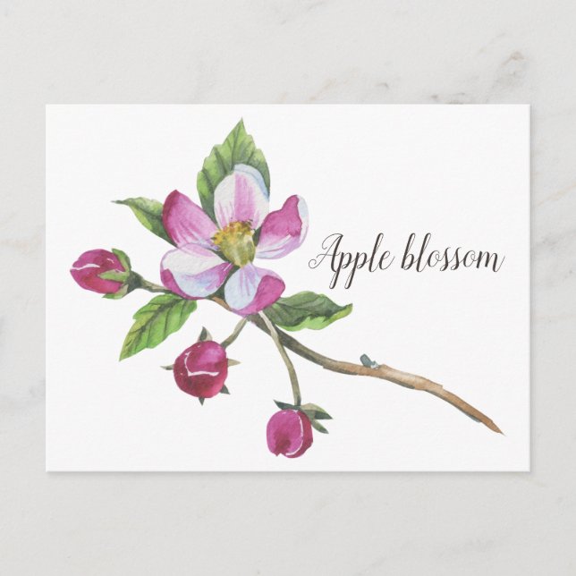 Postal Watercolor Apple Blossom Botanico (Anverso)