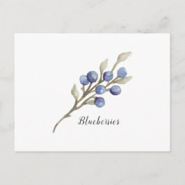 Postal Watercolor Blueberries Botánico