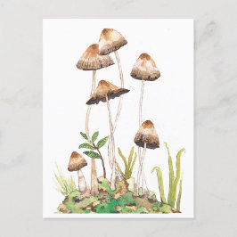 Postal Watercolor Brown Forest Mushrooms