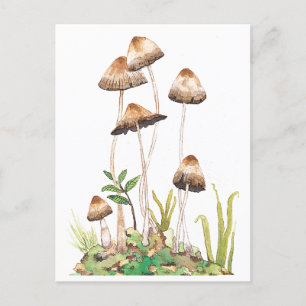 Postal Watercolor Brown Forest Mushrooms