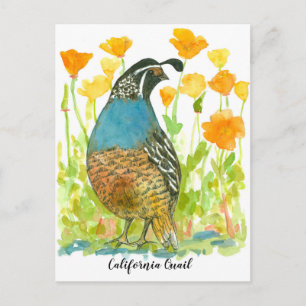 Postal Watercolor California Poppies Quail Bird