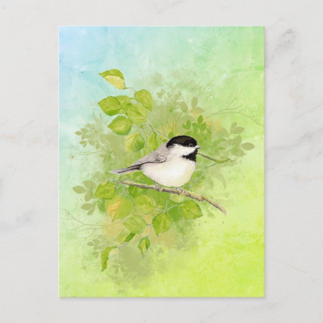 Postal Watercolor Chickadee Bird Wildlife Nature Art (Anverso)