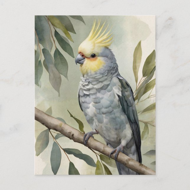 Postal Watercolor Cockatiel Eucalyptus Tree (Anverso)