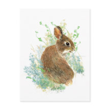 Watercolor Cute conejo conejo conejo arte animal