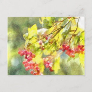 Postal Watercolor de las Berries de invierno