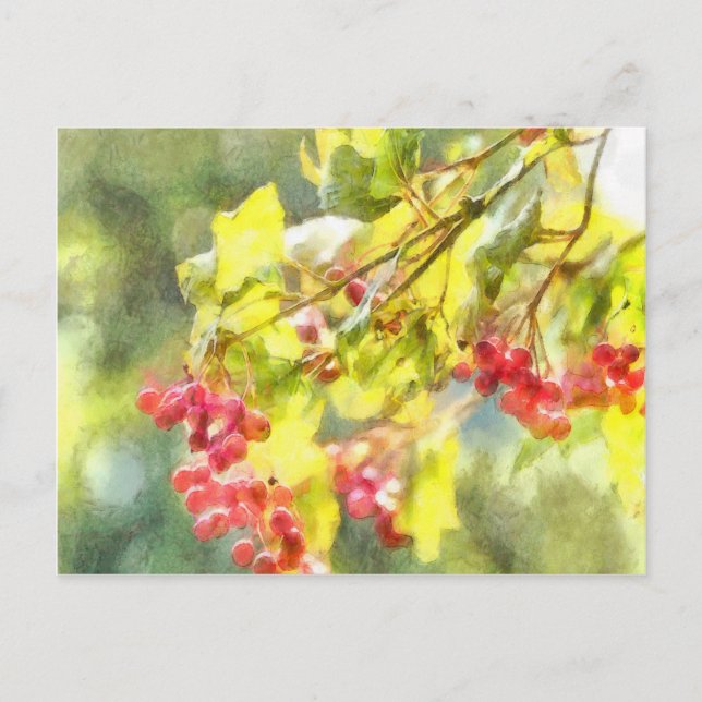 Postal Watercolor de las Berries de invierno (Anverso)