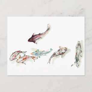 Postal Watercolor Koi Fish