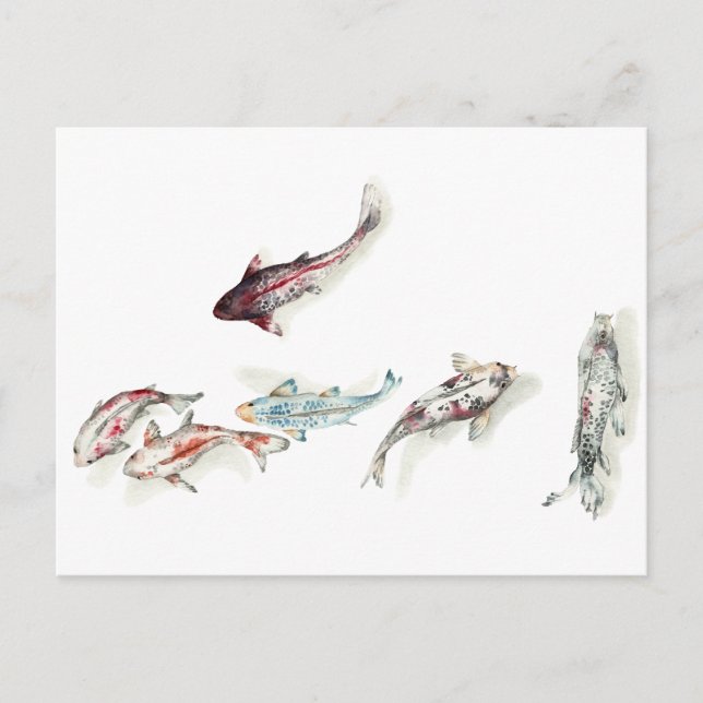 Postal Watercolor Koi Fish (Anverso)