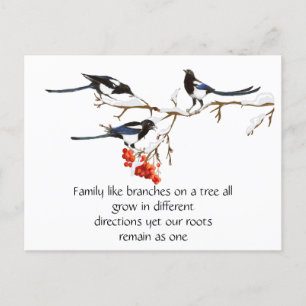 Postal Watercolor Magpie Family Cita Animal Nature