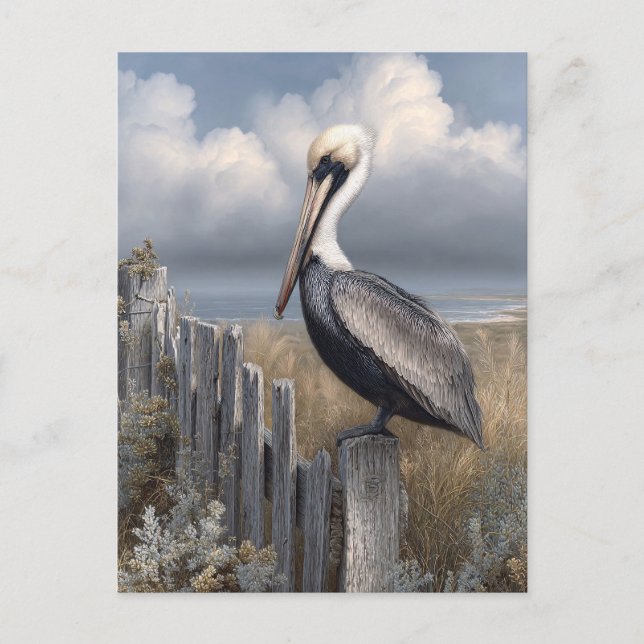 Postal Watercolor Pelican en una cerca (Anverso)