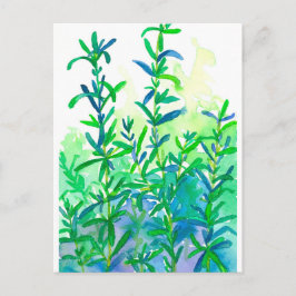 Postal Watercolor Rosemary Herb Azul