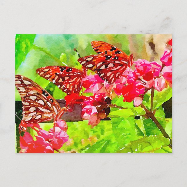 Postal Watercolor Tres mariposas fritas del Golfo (Anverso)