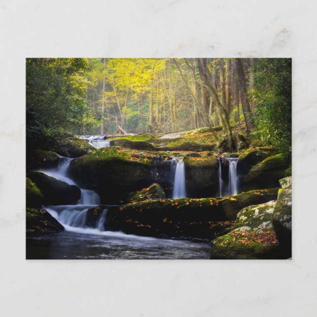 Postal Waterfalls | Great Smoky Mountain National Park (Anverso)