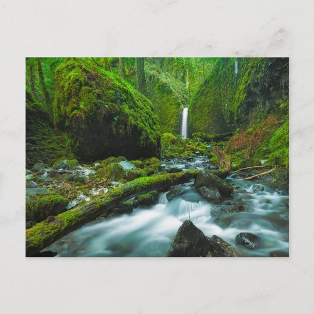 Postal Waterfalls | Grotto Falls, Oregon (Anverso)
