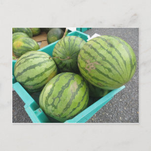 Postal Watermelon Bunch.
