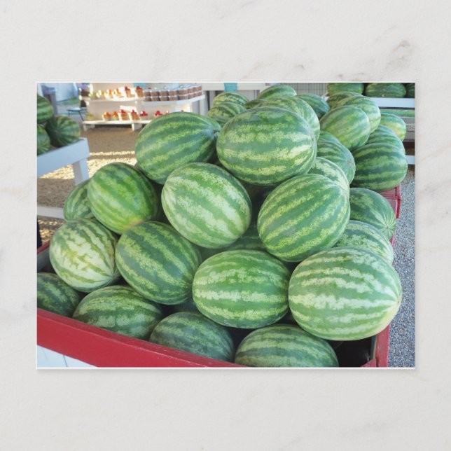 Postal Watermelon Bundle (Anverso)