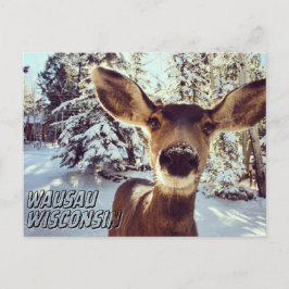 Postal Wausau Wisconsin Postcard Cute Deer