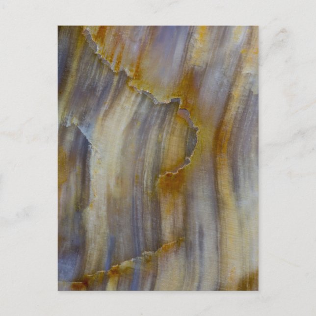 Postal Wavy Petrified Wood (Anverso)