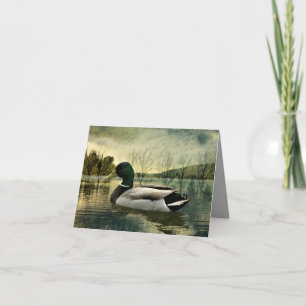 Postal Weathercard del pato mallard vintage