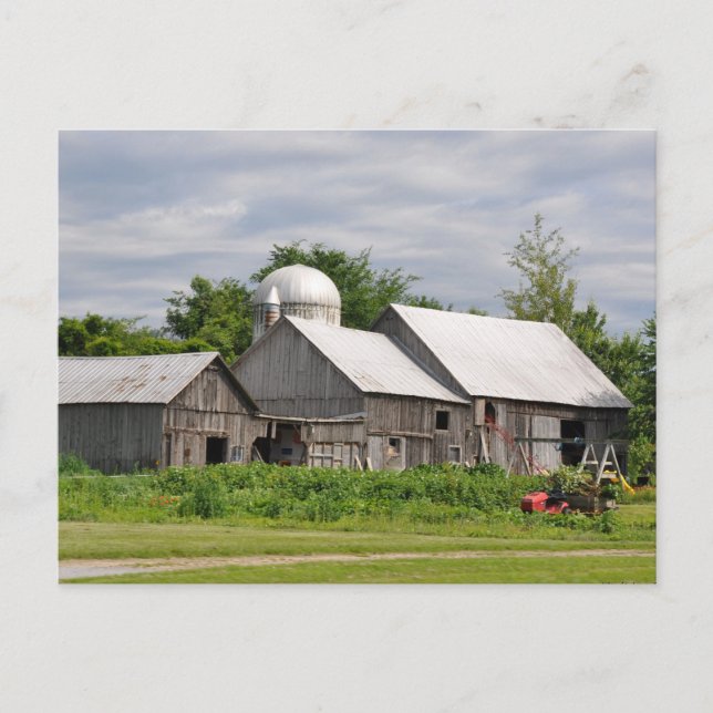 Postal Weathered With Age - Postcard (Anverso)