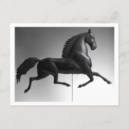 Postal Weathervane del Halcón Negro