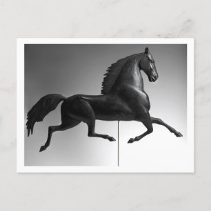 Postal Weathervane del Halcón Negro