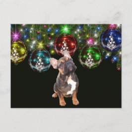 Postal Weihnachtskarte französische Bulldoggen Christmas 