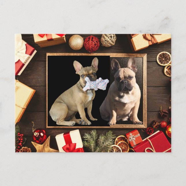 Postal Weihnachtskarte französische Bulldoggen Christmas (Anverso)