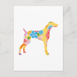 Postal Weimaraner