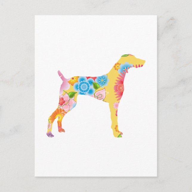 Postal Weimaraner (Anverso)