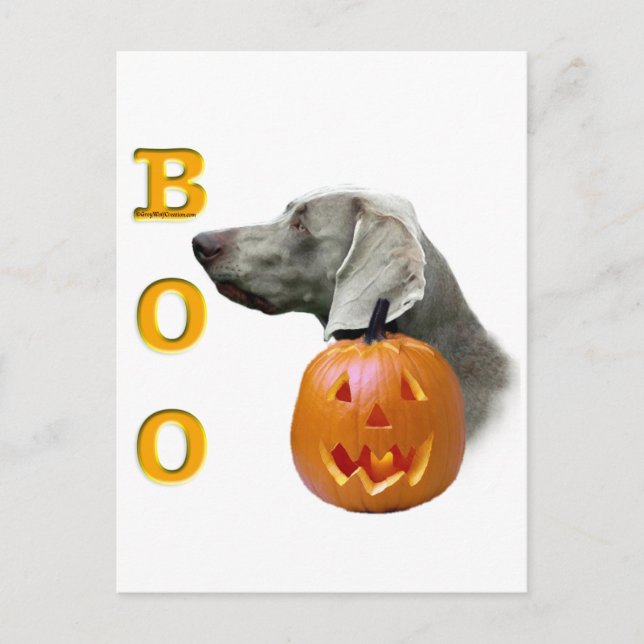 Postal Weimaraner Boo (Anverso)