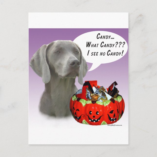 Postal Weimaraner Halloween Candy (Anverso)