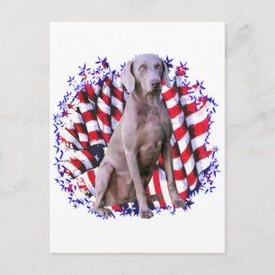 Postal Weimaraner Patriot