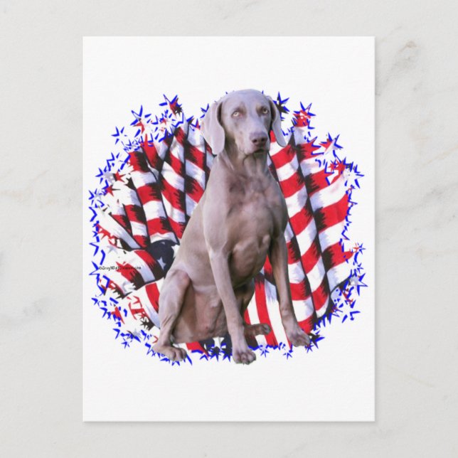 Postal Weimaraner Patriot (Anverso)