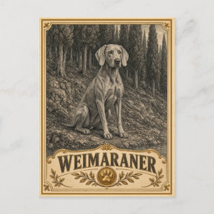 Postal Weimaraner, perro vintage de herencia