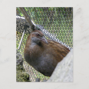 Postal Weka