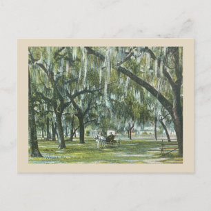 Postal Welaka Florida vintage con caballo y carruaje