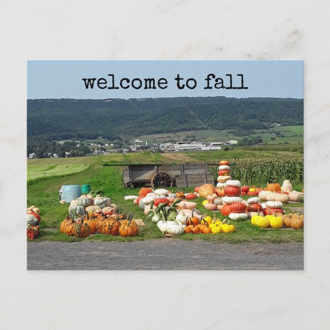 Postal welcome to fall pumpkin farm post card (Anverso)