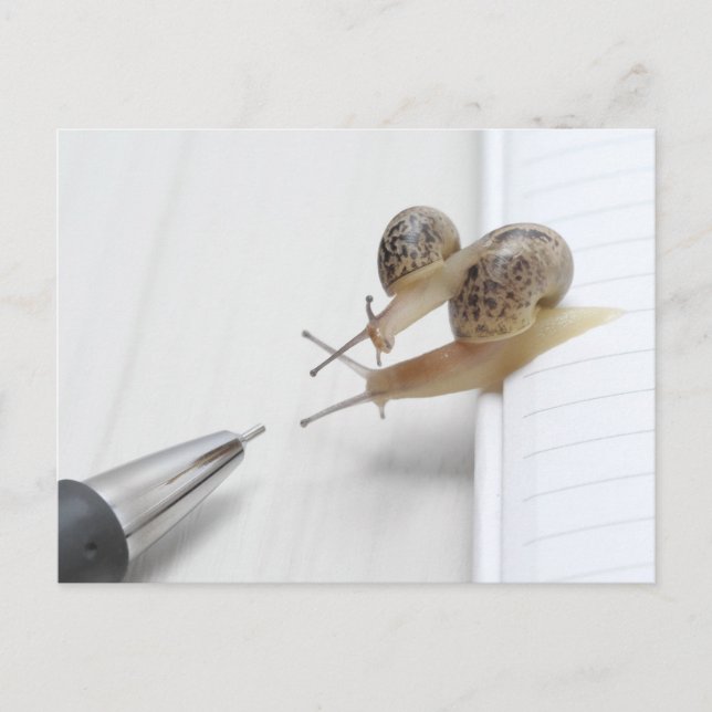 Postal We'll help you study (Anverso)