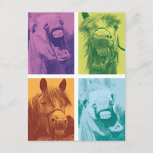 Postal Wellcoda Graciosa Reír Animal Loco Caballo