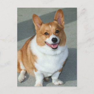Postal Welsh Corgi