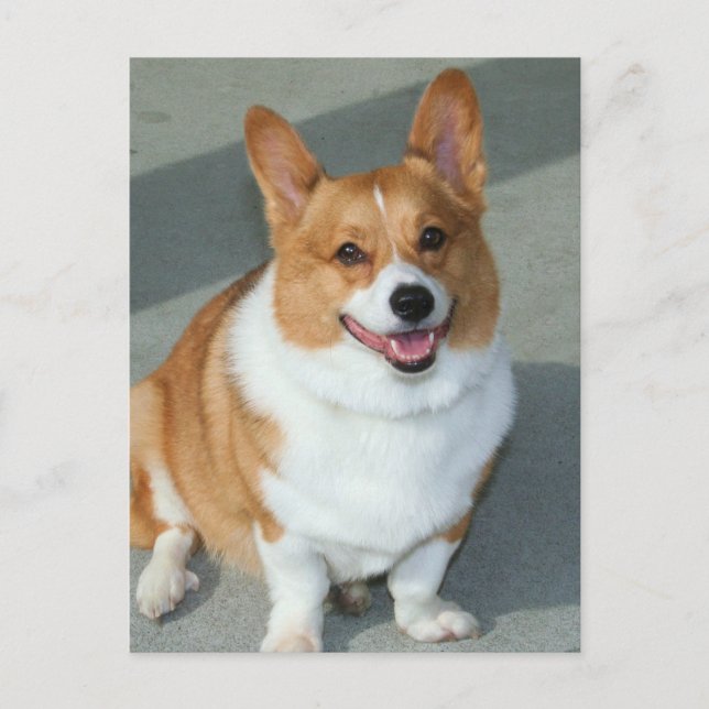Postal Welsh Corgi (Anverso)