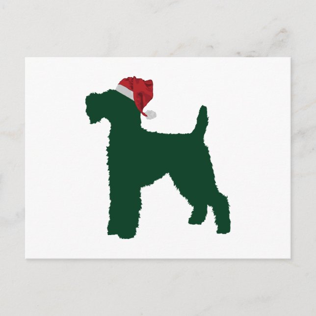 Postal Welsh Terrier (Anverso)