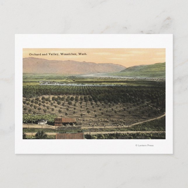 Postal Wenatchee, WashingtonAerial View of a Orchard (Anverso)