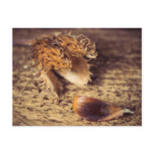 Wenn en Samen zum Baum wird..