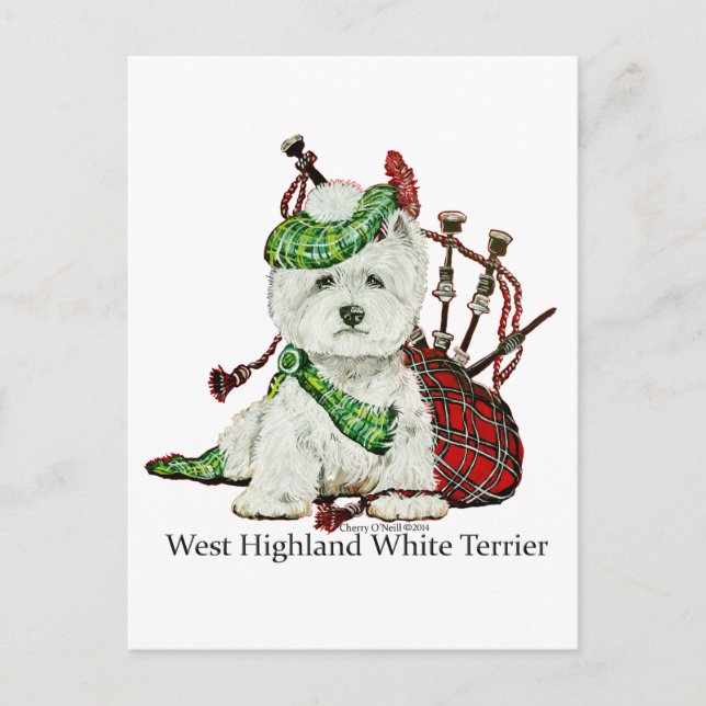 Postal West Highland Terrier (Anverso)