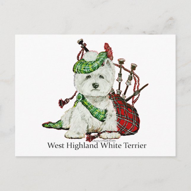 Postal West Highland Terrier (Anverso)