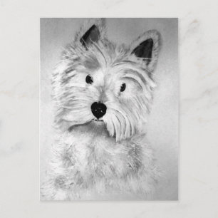 Postal West Highland White Terrier Postcard